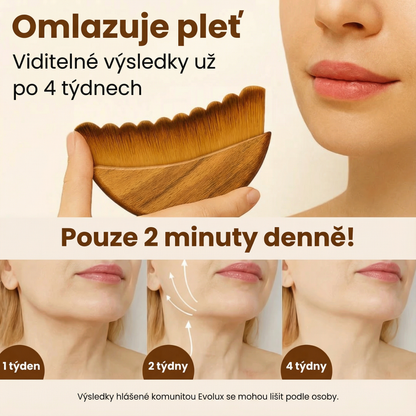 Evolux™ Liftingový kartáč